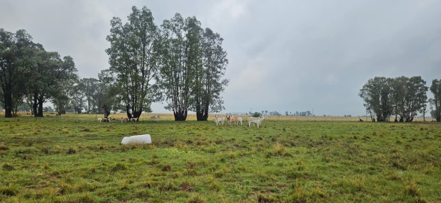 Commercial Property for Sale in Bloemfontein Rural Free State